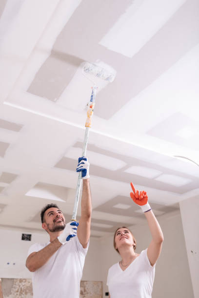 Mold Remediation for Vacation Homes in Foresthill, CA