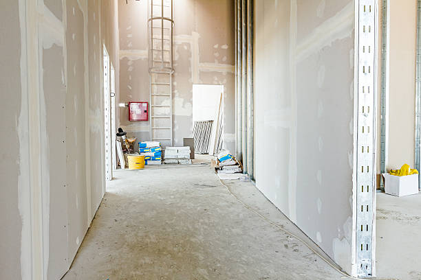 Best Industrial Mold Remediation  in Foresthill, CA