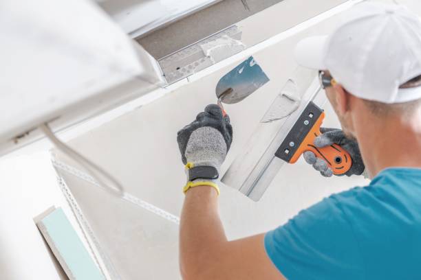 Best Comprehensive Air Testing for Mold Contaminants  in Foresthill, CA